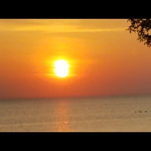 Meet your Posher, Monique